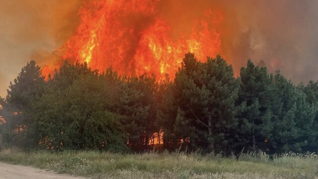 A forest fire in Mykolaiv region after a Russian strike