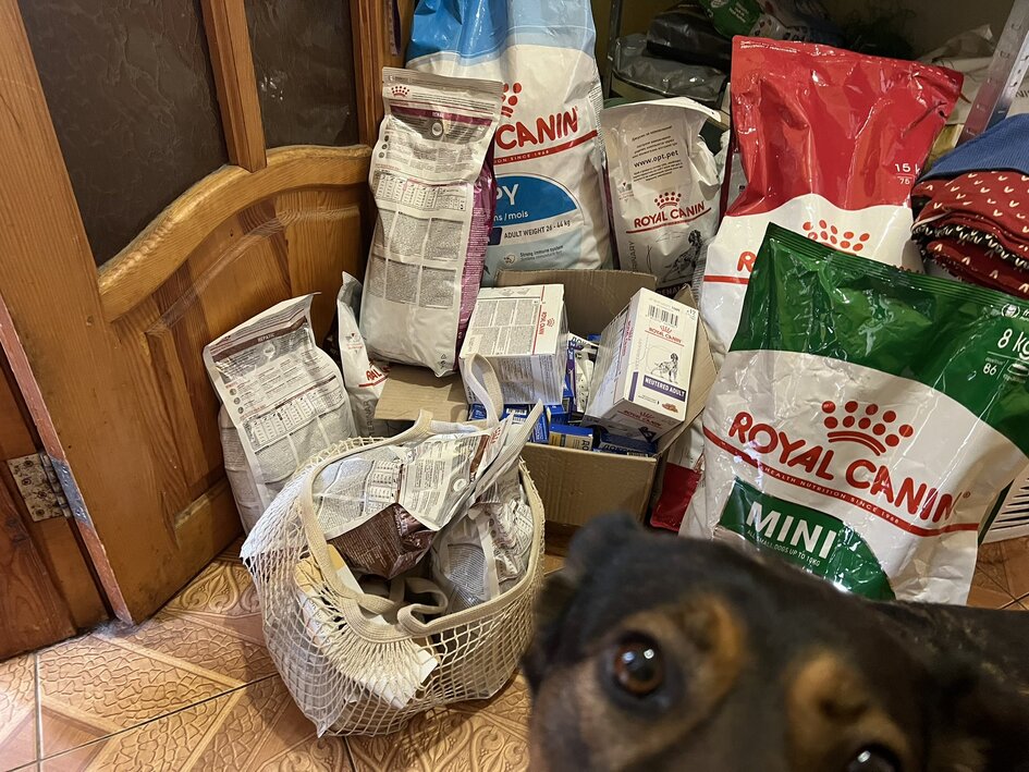 Food Meds for Ukrainian Pets European Resilience Initiative Center